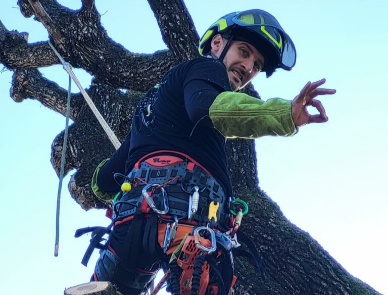 Élagage professionnel Grasse