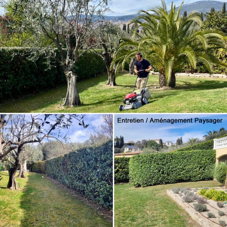 Aménagement paysager Grasse
